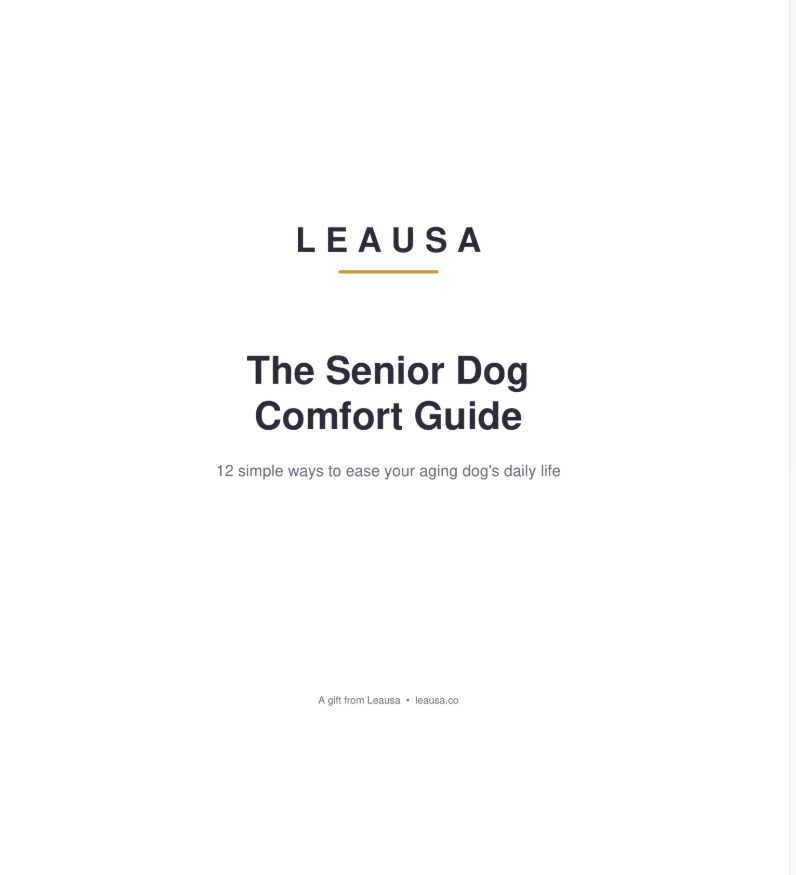 The Senior Dog Comfort Guide