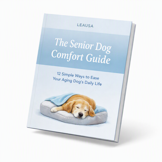 The Senior Dog Comfort Guide