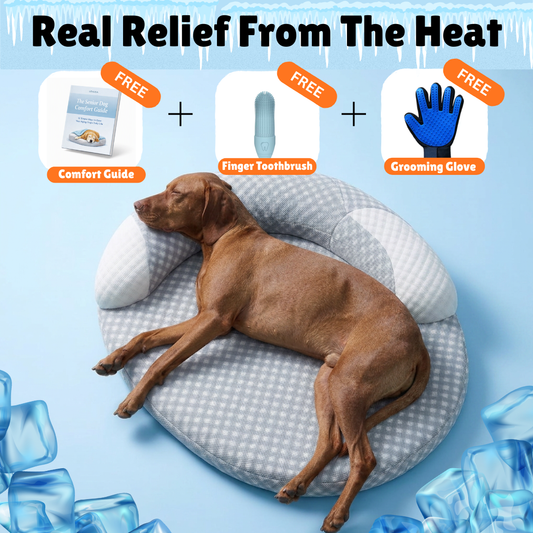 Golden Years Cooling Bed